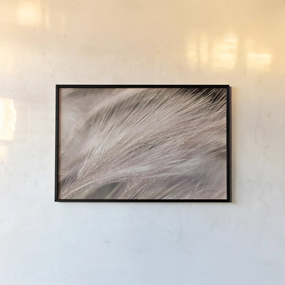 Foxtail Barley III Light by Alan Majchrowicz. shown as a paper print in a black flame. Available as a archival giclee rolled canvas, fine art paper, or poster print. SKU 52857i.