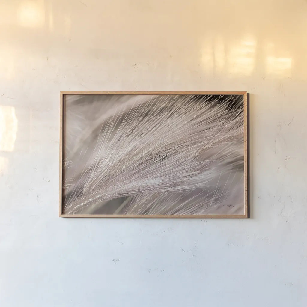 Foxtail Barley III Light by Alan Majchrowicz. shown as a paper print in a natural frame. Available as a archival giclee rolled canvas, fine art paper, or poster print. SKU 52857i.