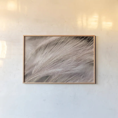 Foxtail Barley III Light by Alan Majchrowicz. shown as a paper print in a natural frame. Available as a archival giclee rolled canvas, fine art paper, or poster print. SKU 52857i.