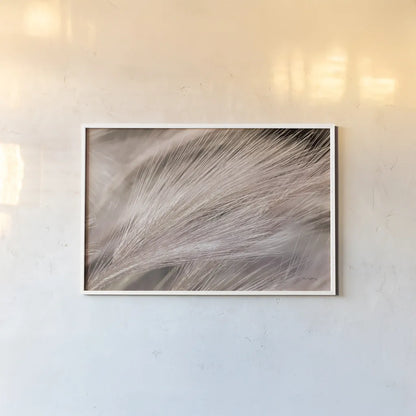 Foxtail Barley III Light by Alan Majchrowicz. shown as a paper print in a white frame. Available as a archival giclee rolled canvas, fine art paper, or poster print. SKU 52857i.