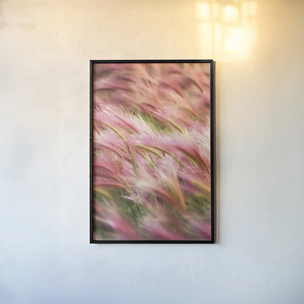 Foxtail Barley IV by Alan Majchrowicz. shown as a paper print in a black flame. Available as a archival giclee rolled canvas, fine art paper, or poster print. SKU 52315h.