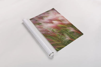 Foxtail Barley V by Alan Majchrowicz. shown as a rolled paper print. Available as archival giclee rolled canvas, fine art paper, or poster print. SKU 52316h.