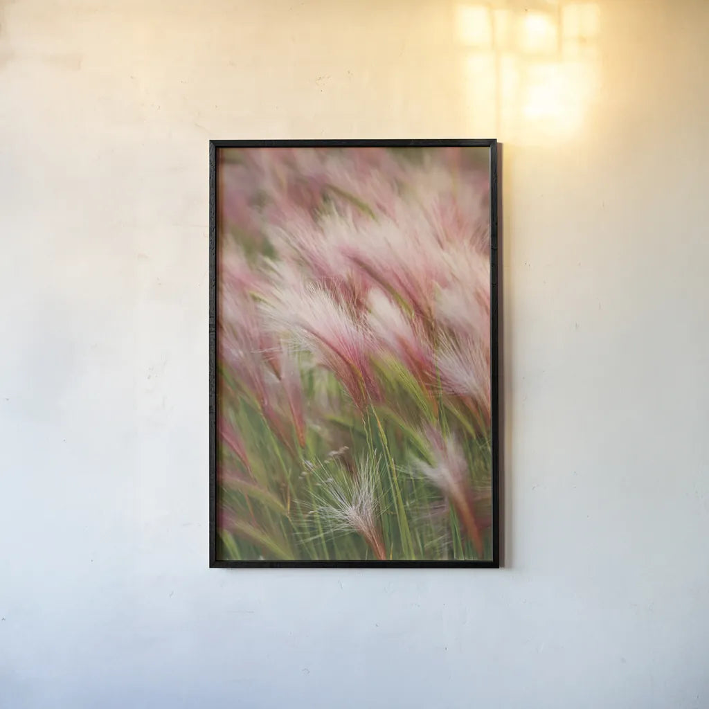 Foxtail Barley V by Alan Majchrowicz. shown as a paper print in a black flame. Available as a archival giclee rolled canvas, fine art paper, or poster print. SKU 52316h.