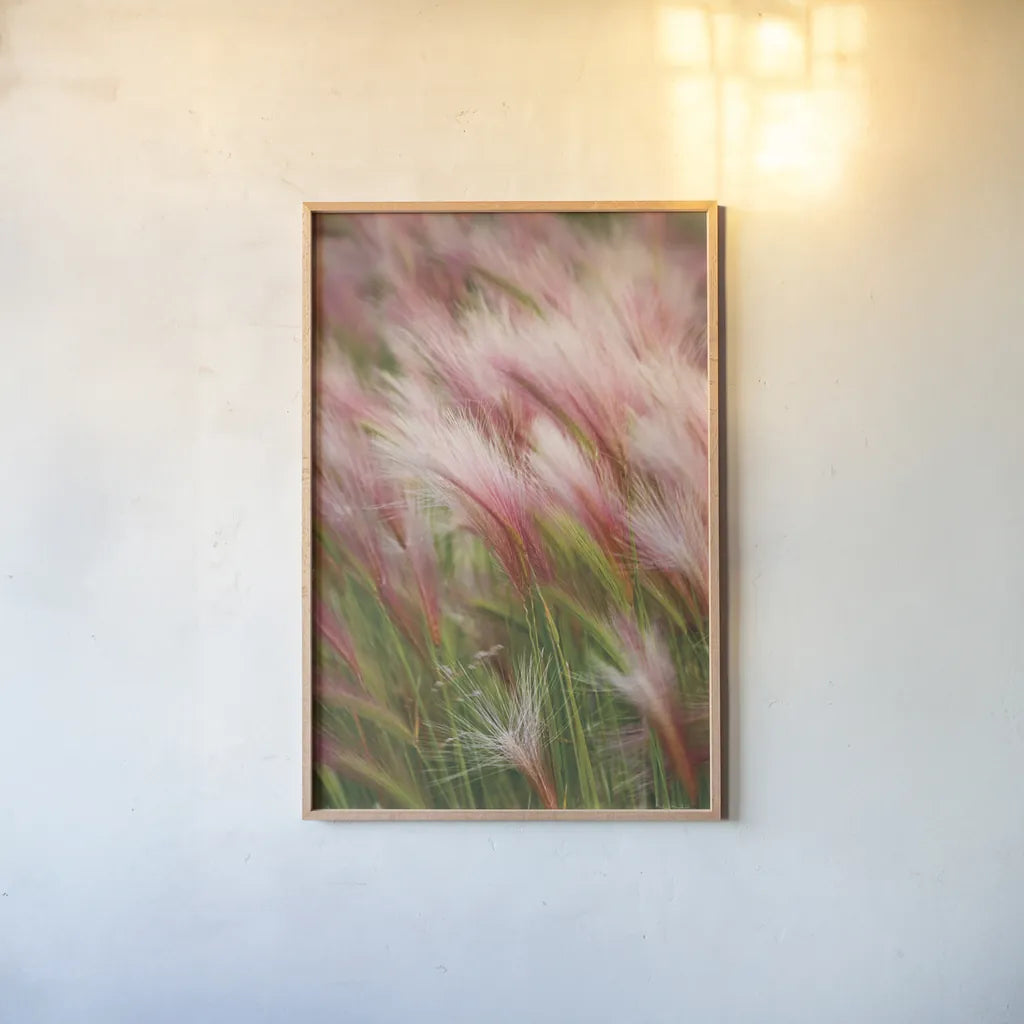 Foxtail Barley V by Alan Majchrowicz. shown as a paper print in a natural frame. Available as a archival giclee rolled canvas, fine art paper, or poster print. SKU 52316h.