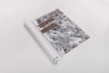 Frosted Covered Needles by Alan Majchrowicz. shown as a rolled paper print. Available as archival giclee rolled canvas, fine art paper, or poster print. SKU 16153i.