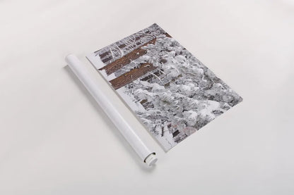 Frosted Covered Needles by Alan Majchrowicz. shown as a rolled paper print. Available as archival giclee rolled canvas, fine art paper, or poster print. SKU 16153i.