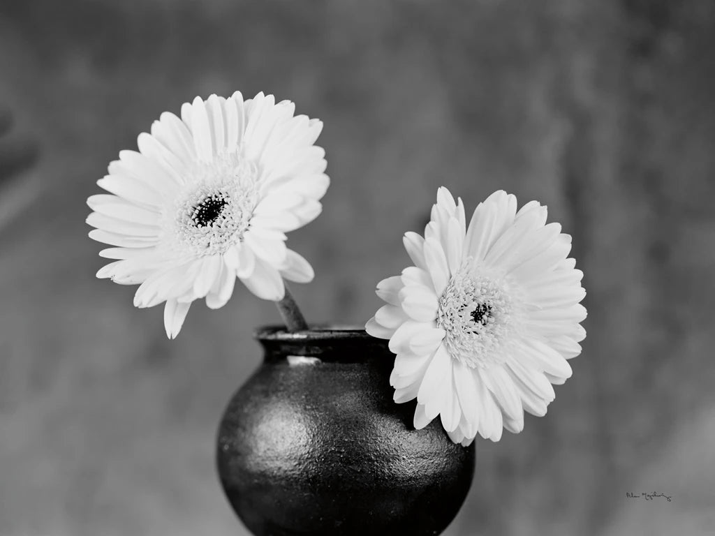 Gerber Daisies in raku pots by Alan Majchrowicz