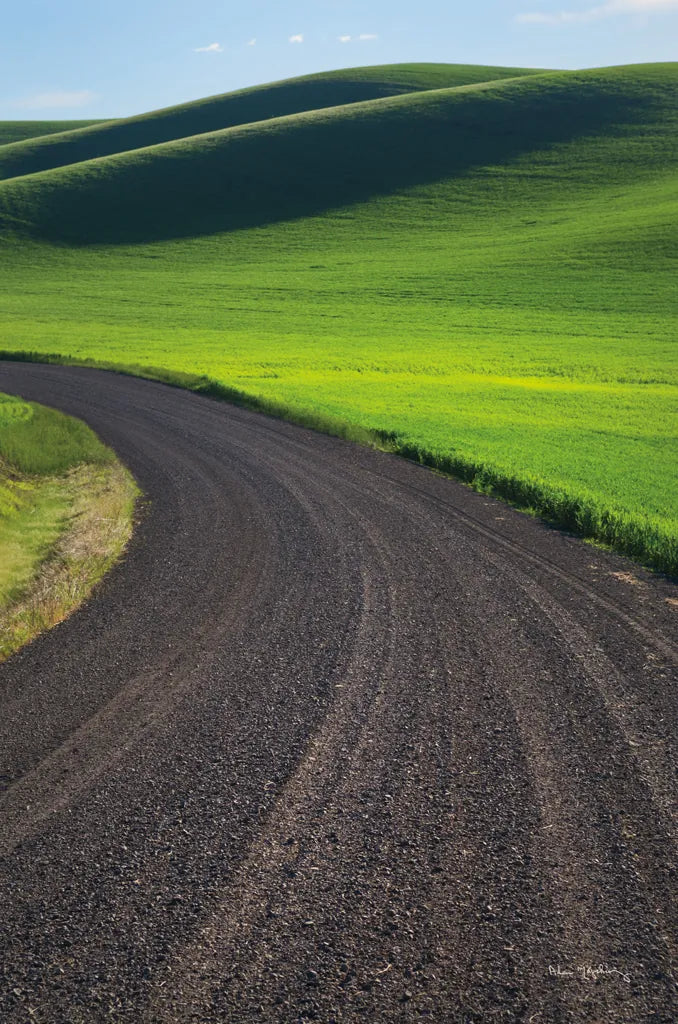 Going Through Palouse Wheat Fields by Alan Majchrowicz. SKU 62464h. Archival Giclee Fine art print for wall decor.
