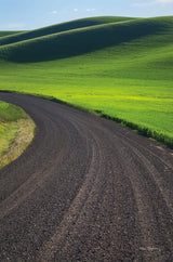 Going Through Palouse Wheat Fields by Alan Majchrowicz. SKU 62464h. Archival Giclee Fine art print for wall decor.
