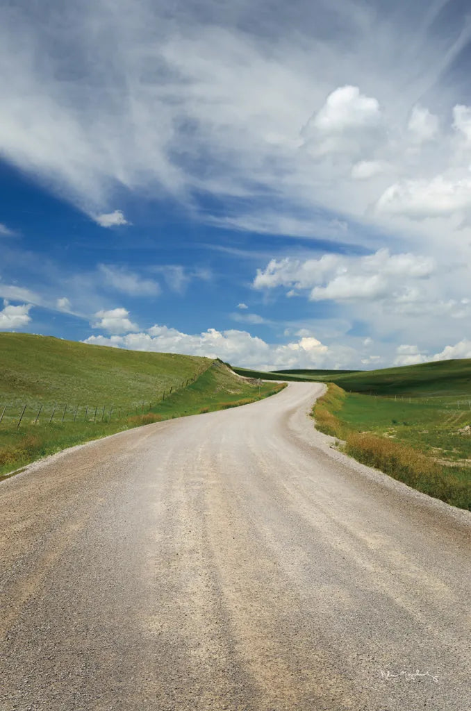 Gravel Road Near Choteau Montana II by Alan Majchrowicz. SKU 62461h. Archival Giclee Fine art print for wall decor.