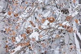 Grove of Aspen Trees by Alan Majchrowicz. SKU 43901i. Archival Giclee Fine art print for wall decor.