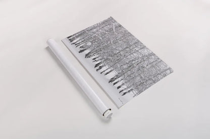 Grove of Aspen Trees in Winter by Alan Majchrowicz. shown as a rolled paper print. Available as archival giclee rolled canvas, fine art paper, or poster print. SKU 43902i.