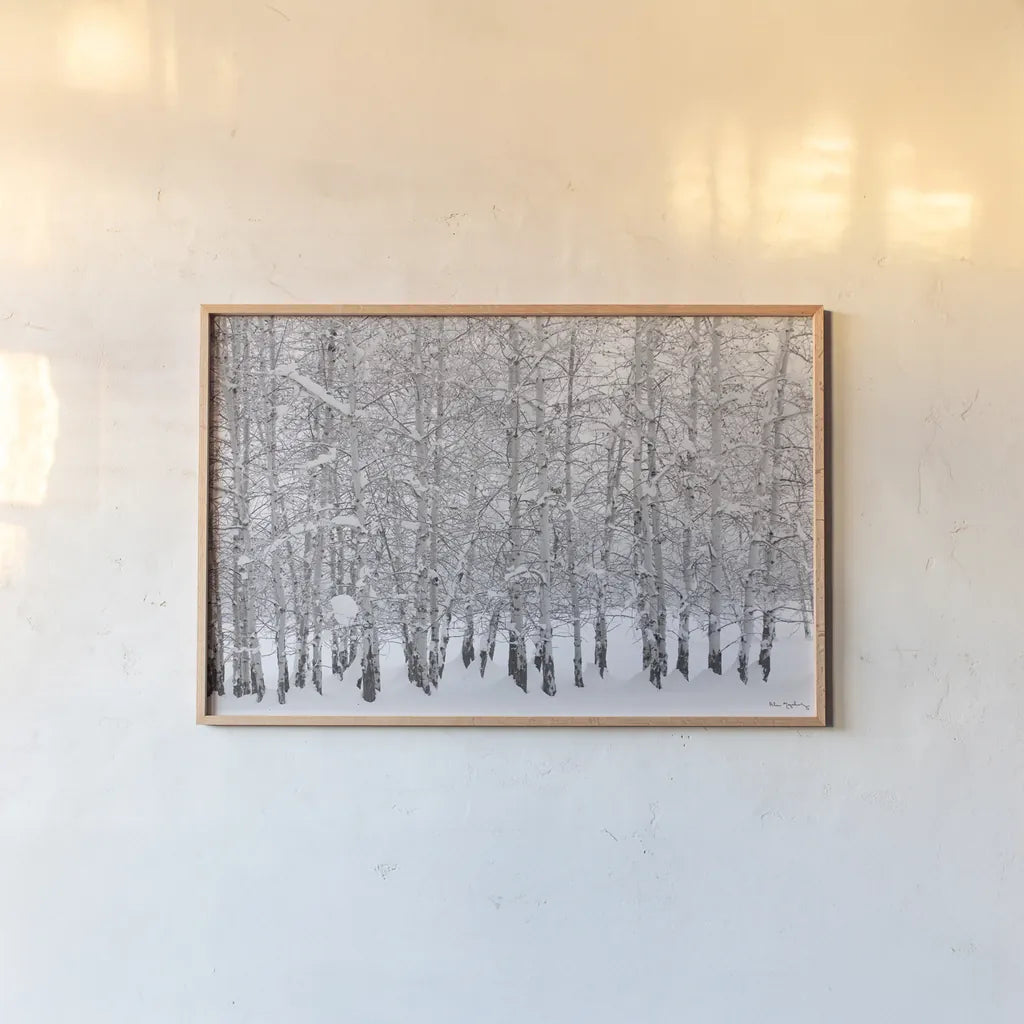 Grove of Aspen Trees in Winter by Alan Majchrowicz. shown as a paper print in a natural frame. Available as a archival giclee rolled canvas, fine art paper, or poster print. SKU 43902i.