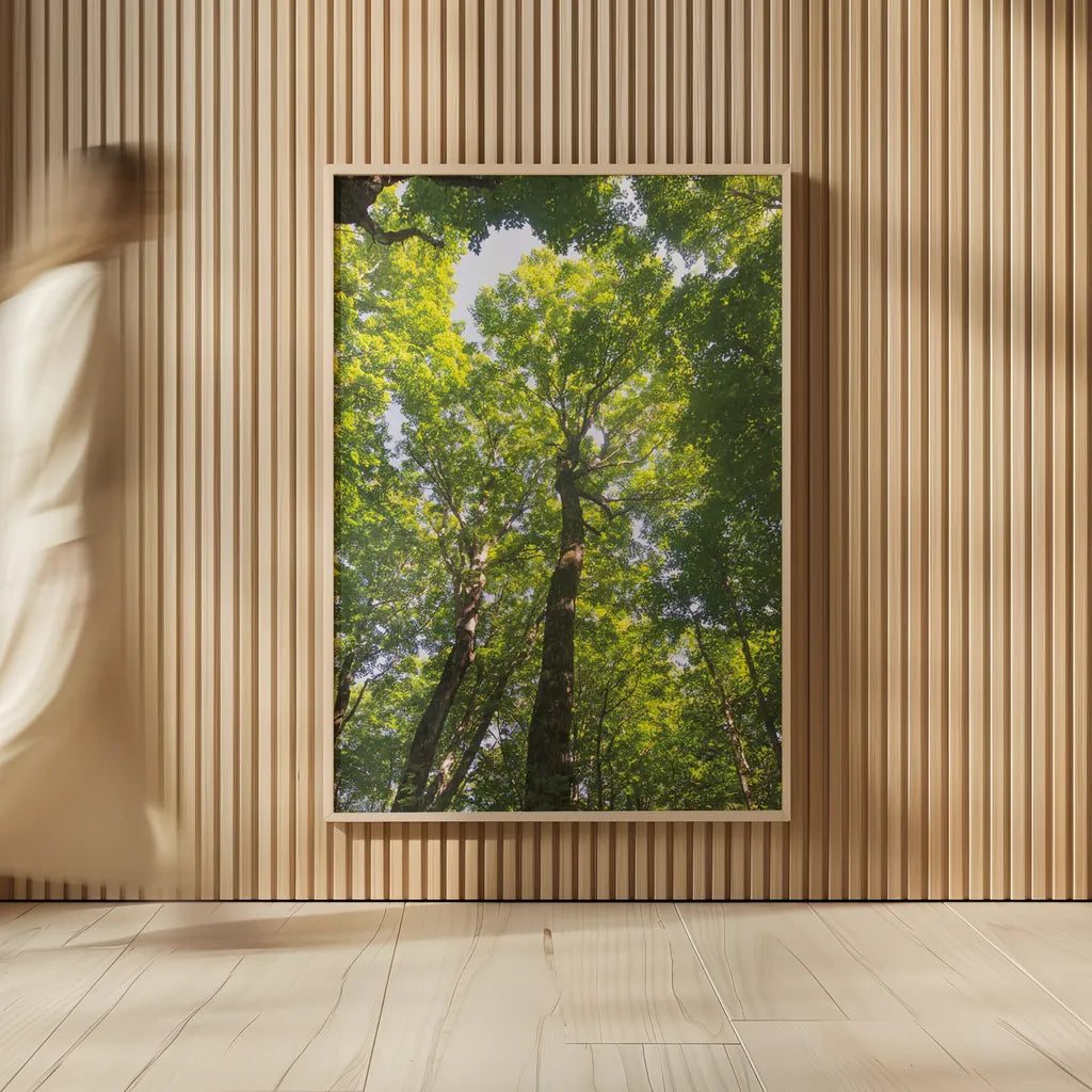 Hardwood Forest Canopy I by Alan Majchrowicz. shown as over sized large wall art. Available as an archival giclee rolled canvas, fine art paper, or poster print. SKU 52767h.