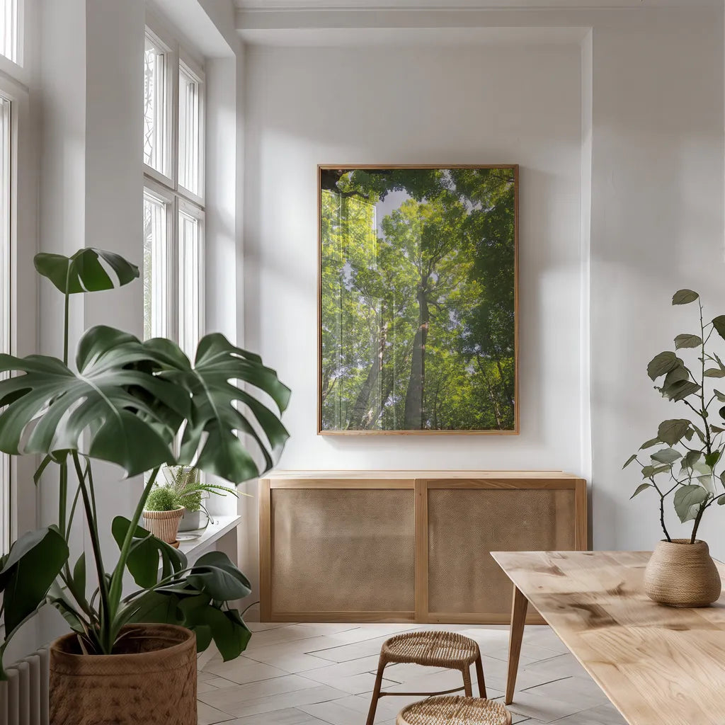 Hardwood Forest Canopy I by Alan Majchrowicz. shown as a print in a natural wood frame in a dining room. Available as a archival giclee rolled canvas, fine art paper, or poster print. SKU 52767h.