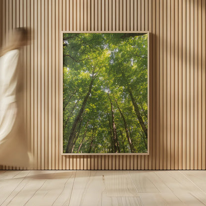 Hardwood Forest Canopy II by Alan Majchrowicz. shown as over sized large wall art. Available as an archival giclee rolled canvas, fine art paper, or poster print. SKU 52768h.