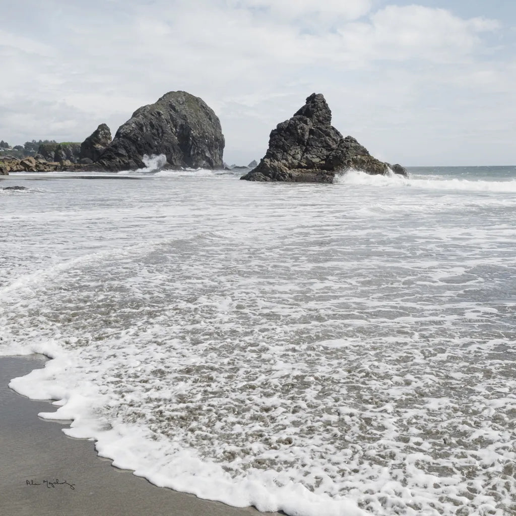Harris Beach Oregon Crop by Alan Majchrowicz. SKU 36196a. Archival Giclee Fine art print for wall decor.