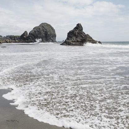 Harris Beach Oregon Crop by Alan Majchrowicz. SKU 36196a. Archival Giclee Fine art print for wall decor.