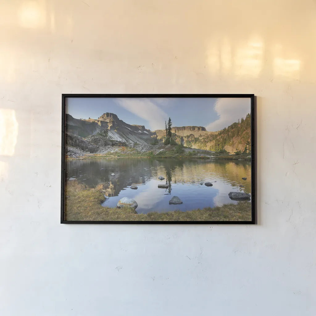 Heather Meadows in Autumn by Alan Majchrowicz. shown as a paper print in a black flame. Available as a archival giclee rolled canvas, fine art paper, or poster print. SKU 62395i.