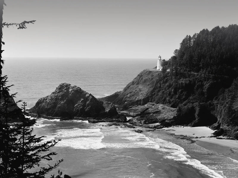 Heceta Head Lighthouse by Alan Majchrowicz