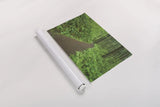Hiking Trail in Columbia River Gorge I by Alan Majchrowicz. shown as a rolled paper print. Available as archival giclee rolled canvas, fine art paper, or poster print. SKU 62462i.