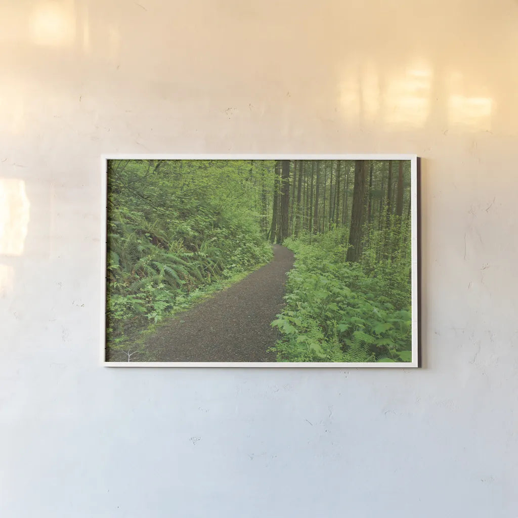 Hiking Trail in Columbia River Gorge I by Alan Majchrowicz. shown as a paper print in a white frame. Available as a archival giclee rolled canvas, fine art paper, or poster print. SKU 62462i.