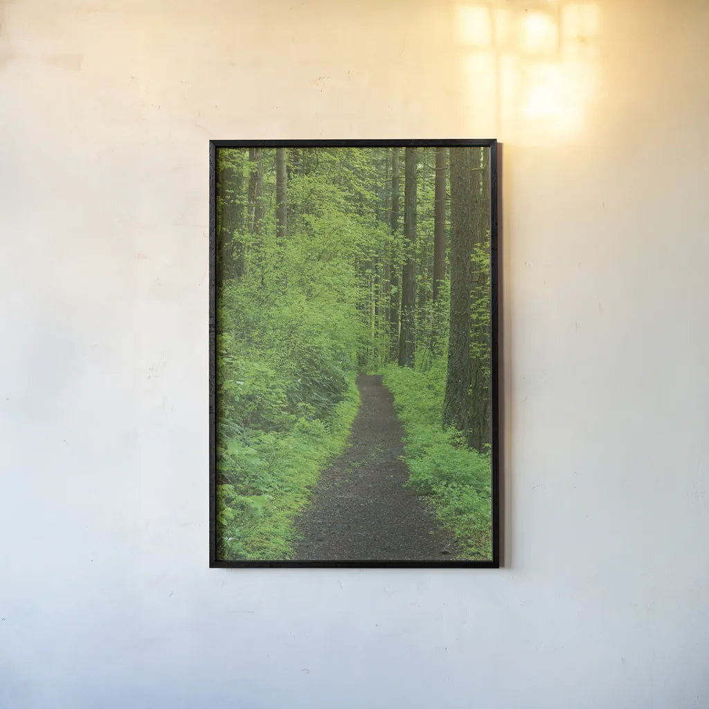 Hiking Trail in Columbia River Gorge II by Alan Majchrowicz. shown as a paper print in a black flame. Available as a archival giclee rolled canvas, fine art paper, or poster print. SKU 62463h.