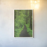 Hiking Trail in Columbia River Gorge II by Alan Majchrowicz. shown as a paper print in a white frame. Available as a archival giclee rolled canvas, fine art paper, or poster print. SKU 62463h.