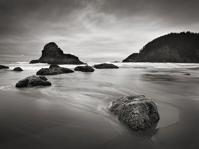 Indian Beach II by Alan Majchrowicz