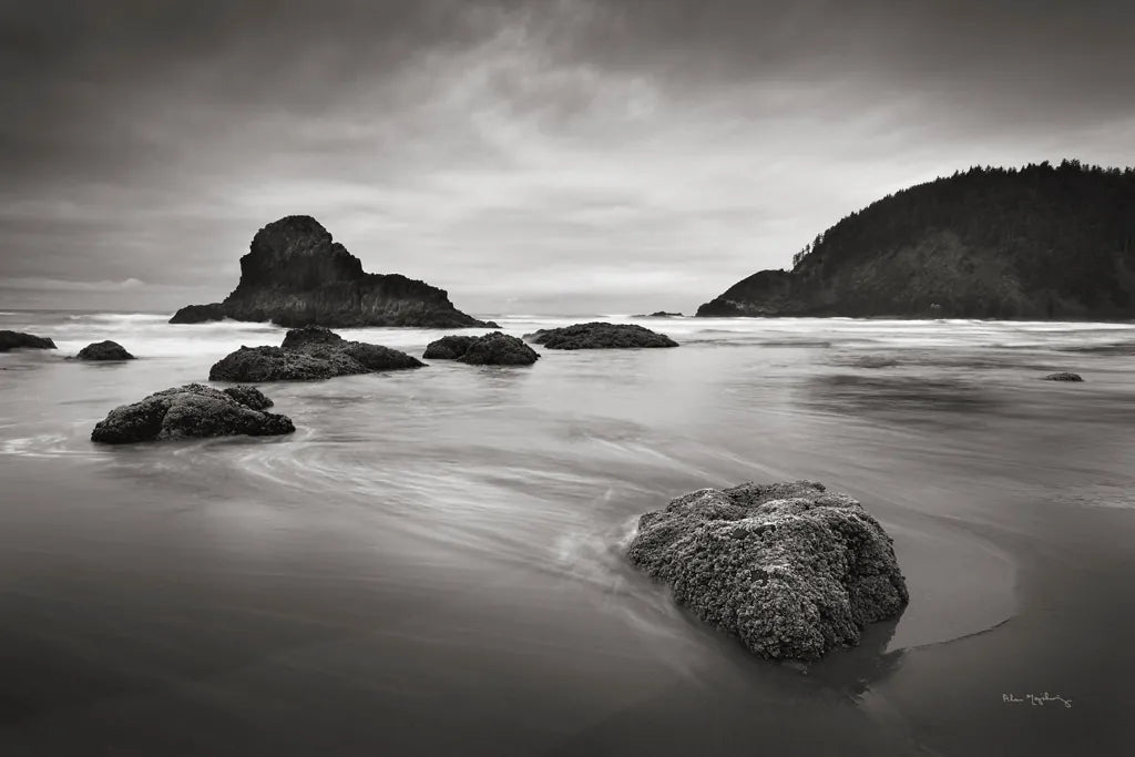 Indian Beach II by Alan Majchrowicz. SKU 16584i. Archival Giclee Fine art print for wall decor.