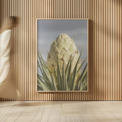 Joshua Tree by Alan Majchrowicz. shown as over sized large wall art. Available as an archival giclee rolled canvas, fine art paper, or poster print. SKU 61458h.