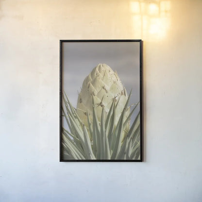 Joshua Tree by Alan Majchrowicz. shown as a paper print in a black flame. Available as a archival giclee rolled canvas, fine art paper, or poster print. SKU 61458h.