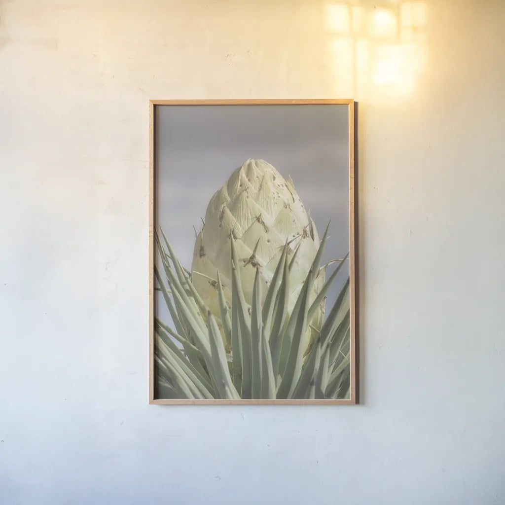 Joshua Tree by Alan Majchrowicz. shown as a paper print in a natural frame. Available as a archival giclee rolled canvas, fine art paper, or poster print. SKU 61458h.