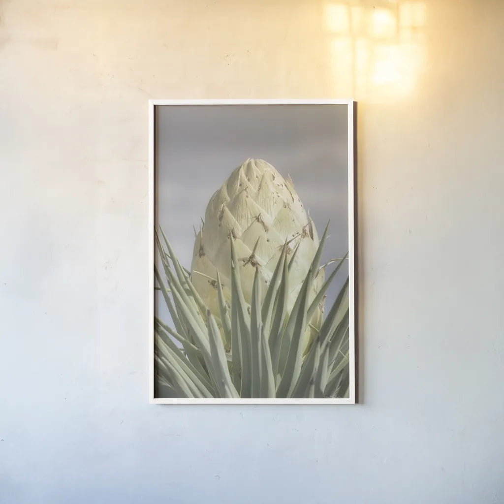 Joshua Tree by Alan Majchrowicz. shown as a paper print in a white frame. Available as a archival giclee rolled canvas, fine art paper, or poster print. SKU 61458h.
