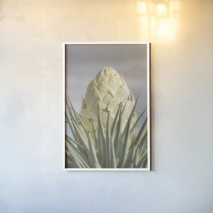 Joshua Tree by Alan Majchrowicz. shown as a paper print in a white frame. Available as a archival giclee rolled canvas, fine art paper, or poster print. SKU 61458h.