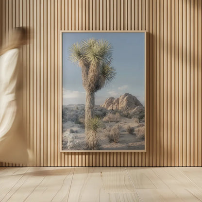 Joshua Tree National Park I by Alan Majchrowicz. shown as over sized large wall art. Available as an archival giclee rolled canvas, fine art paper, or poster print. SKU 61455h.
