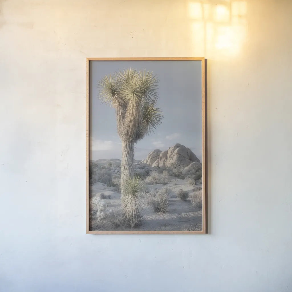 Joshua Tree National Park I by Alan Majchrowicz. shown as a paper print in a natural frame. Available as a archival giclee rolled canvas, fine art paper, or poster print. SKU 61455h.