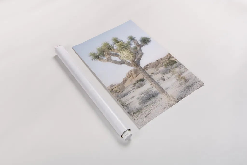 Joshua Tree National Park II by Alan Majchrowicz. shown as a rolled paper print. Available as archival giclee rolled canvas, fine art paper, or poster print. SKU 61456h.