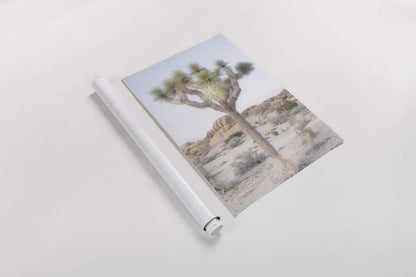 Joshua Tree National Park II by Alan Majchrowicz. shown as a rolled paper print. Available as archival giclee rolled canvas, fine art paper, or poster print. SKU 61456h.