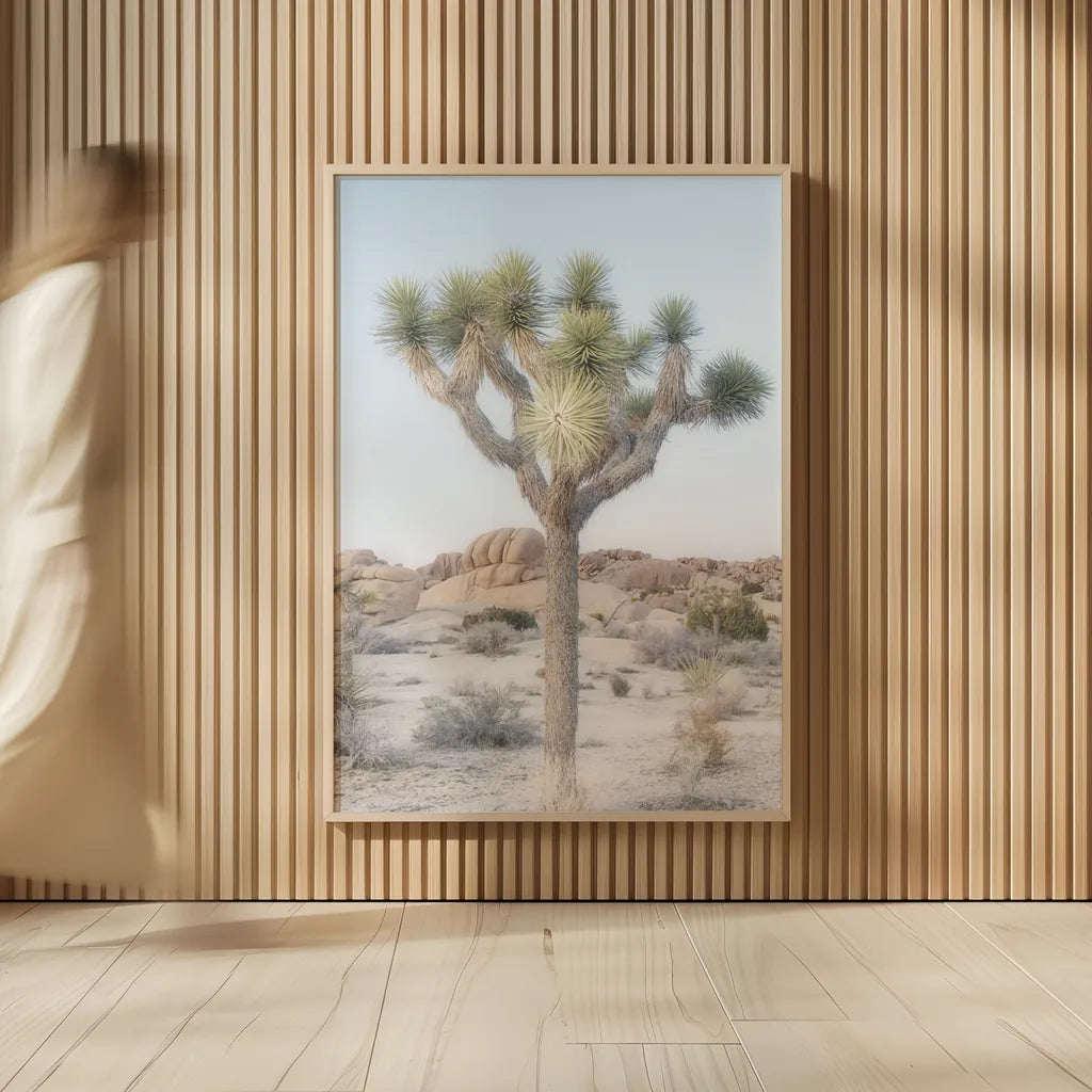 Joshua Tree National Park II by Alan Majchrowicz. shown as over sized large wall art. Available as an archival giclee rolled canvas, fine art paper, or poster print. SKU 61456h.