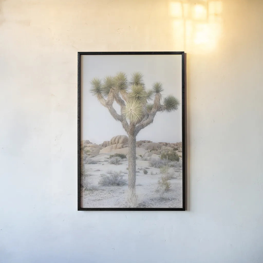 Joshua Tree National Park II by Alan Majchrowicz. shown as a paper print in a black flame. Available as a archival giclee rolled canvas, fine art paper, or poster print. SKU 61456h.