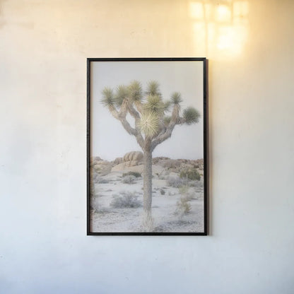 Joshua Tree National Park II by Alan Majchrowicz. shown as a paper print in a black flame. Available as a archival giclee rolled canvas, fine art paper, or poster print. SKU 61456h.