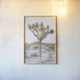 Joshua Tree National Park II by Alan Majchrowicz. shown as a paper print in a natural frame. Available as a archival giclee rolled canvas, fine art paper, or poster print. SKU 61456h.