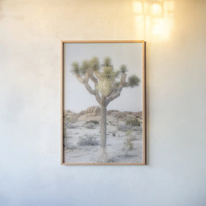 Joshua Tree National Park II by Alan Majchrowicz. shown as a paper print in a natural frame. Available as a archival giclee rolled canvas, fine art paper, or poster print. SKU 61456h.