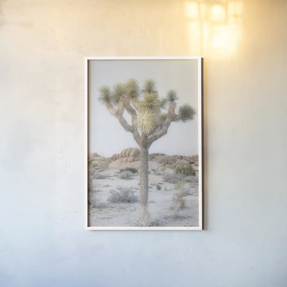Joshua Tree National Park II by Alan Majchrowicz. shown as a paper print in a white frame. Available as a archival giclee rolled canvas, fine art paper, or poster print. SKU 61456h.
