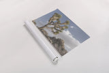 Joshua Tree National Park III by Alan Majchrowicz. shown as a rolled paper print. Available as archival giclee rolled canvas, fine art paper, or poster print. SKU 61457i.
