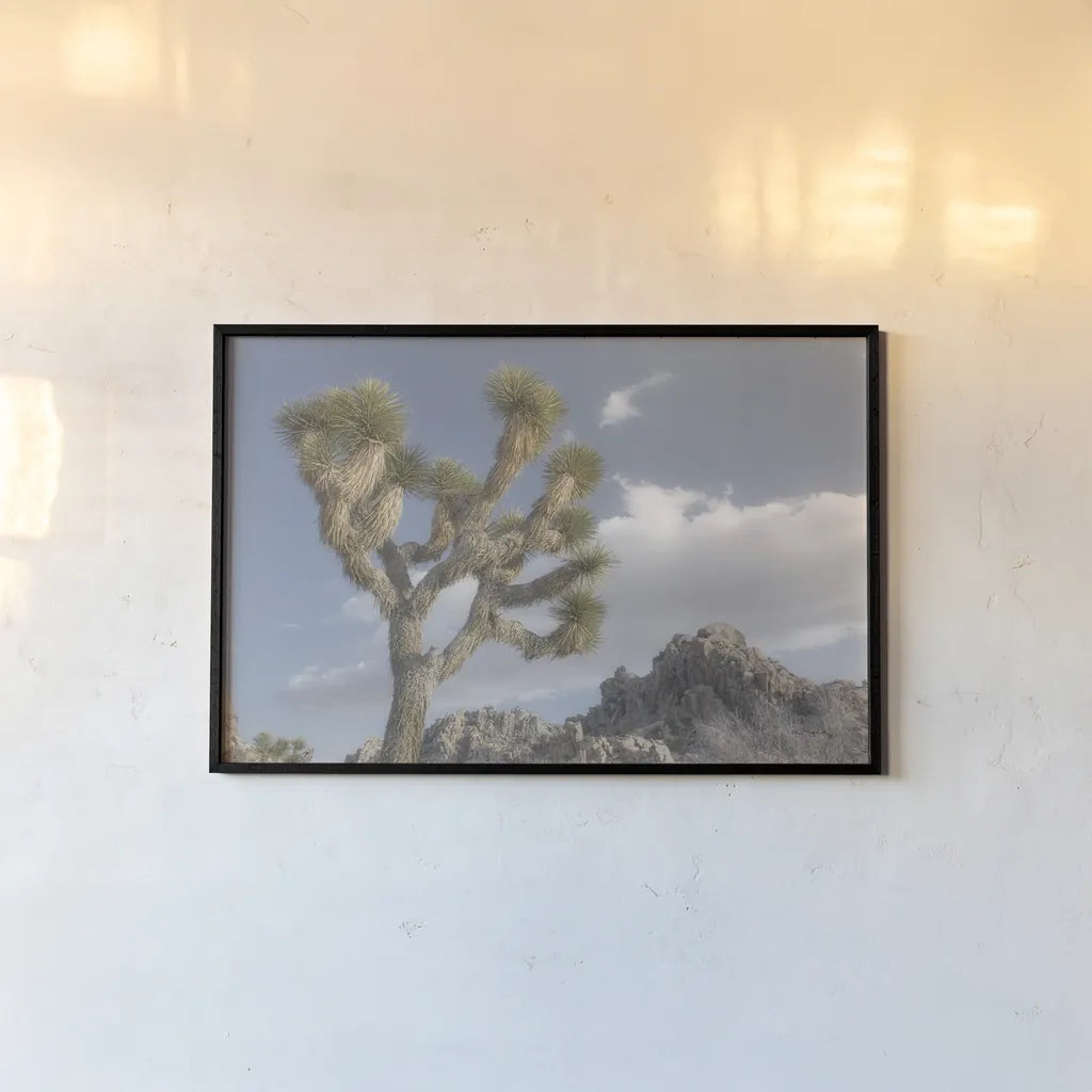 Joshua Tree National Park III by Alan Majchrowicz. shown as a paper print in a black flame. Available as a archival giclee rolled canvas, fine art paper, or poster print. SKU 61457i.