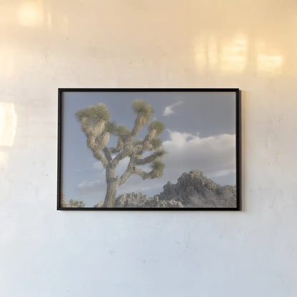 Joshua Tree National Park III by Alan Majchrowicz. shown as a paper print in a black flame. Available as a archival giclee rolled canvas, fine art paper, or poster print. SKU 61457i.