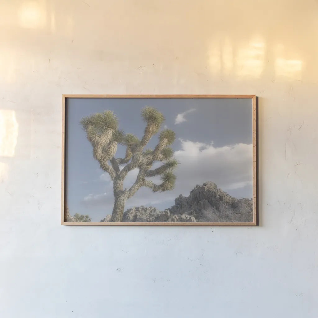Joshua Tree National Park III by Alan Majchrowicz. shown as a paper print in a natural frame. Available as a archival giclee rolled canvas, fine art paper, or poster print. SKU 61457i.