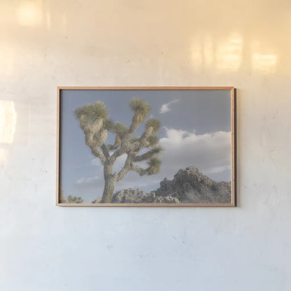 Joshua Tree National Park III by Alan Majchrowicz. shown as a paper print in a natural frame. Available as a archival giclee rolled canvas, fine art paper, or poster print. SKU 61457i.